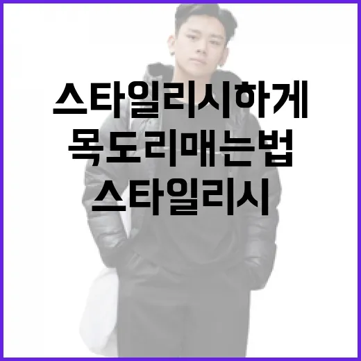 목도리 매는 법: 스타일리시하게 연출하는 방법 - 요약