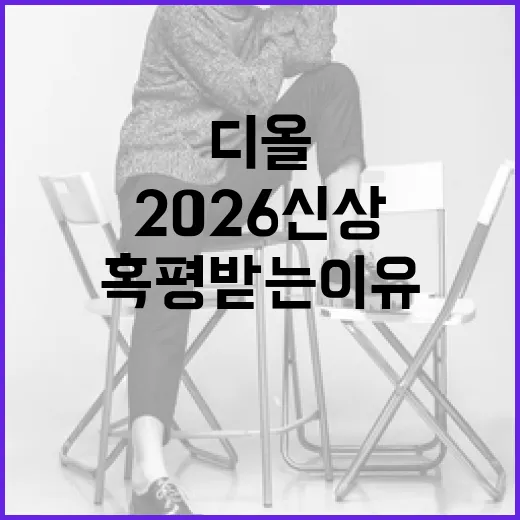 디올 2026 신상이 혹평받는 이유와 그 극복 방법 - 요약