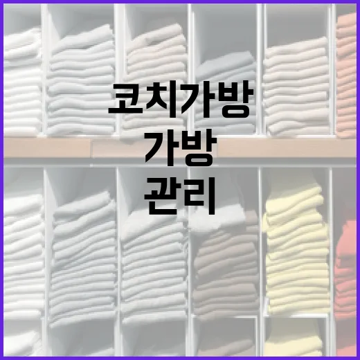 코치 가방을 유지 관리하는 방법 - 요약