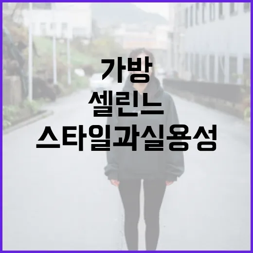 셀린느 가방 선택하는 방법: 스타일과 실용성을 모두 잡으려면 이렇게 - 요약