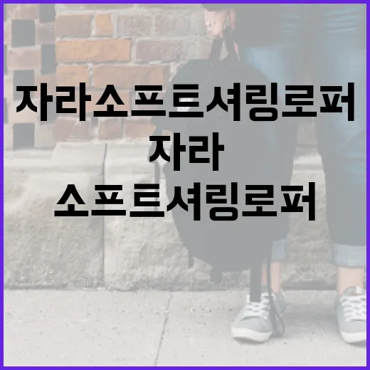 자라 소프트 셔링 로퍼로 스타일링하는 방법 - 요약