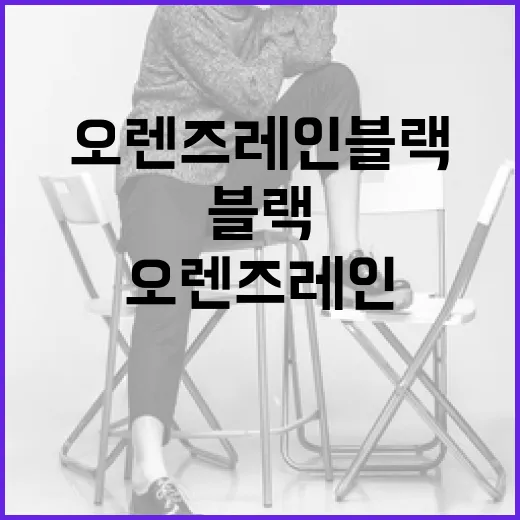 오렌즈 레인블랙을 완벽하게 활용하는 방법 - 요약