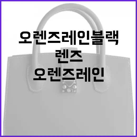 오렌즈 레인블랙 렌즈를 완벽하게 사용하는 방법 - 요약