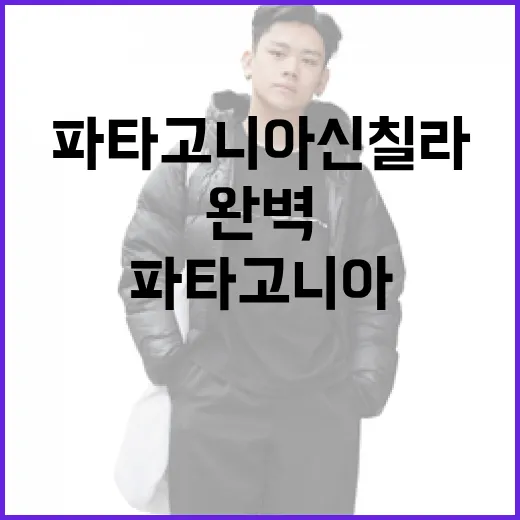 파타고니아 신칠라를 완벽하게 활용하는 방법 - 요약