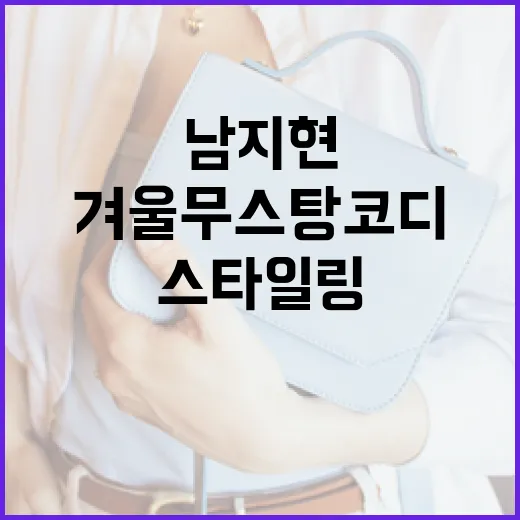 남지현의 겨울 무스탕 코디로 스타일링 하는 방법 - 요약