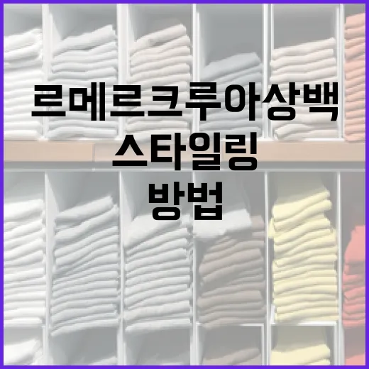 르메르 크루아상백을 스타일링하는 방법 - 요약