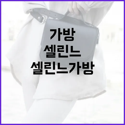 셀린느 가방을 선택하는 방법: 스타일과 기능성을 고려하여 - 요약