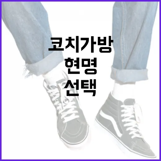 코치 가방을 현명하…