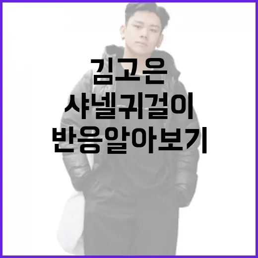 김고은이 착용한 샤넬 귀걸이에 대한 반응 알아보기 - 요약