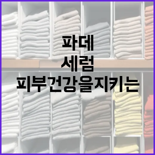 네리티아 세럼파데로 피부 건강을 지키는 방법 - 요약