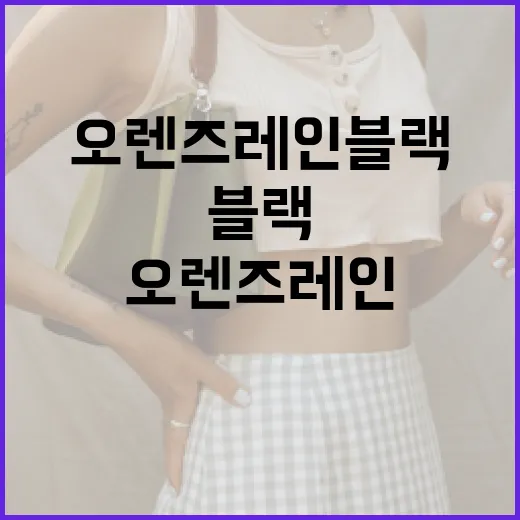 오렌즈 레인블랙을 완벽하게 활용하는 방법 - 요약