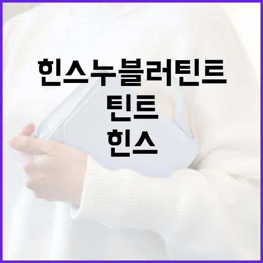 힌스 누블러틴트를 효과적으로 사용하는 방법 - 요약