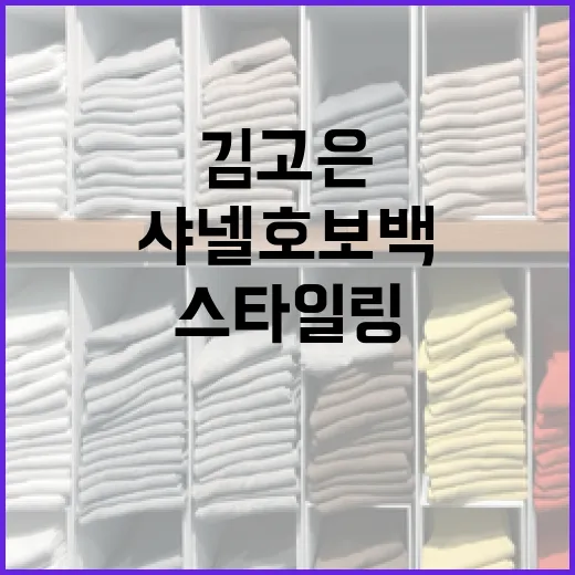 김고은처럼 샤넬 호보백을 매력적으로 스타일링하는 방법 - 요약