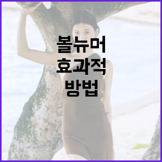 볼뉴머를 효과적으로 사용하는 방법 - 요약