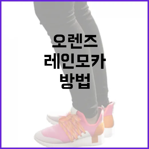 오렌즈 레인모카 완벽 활용하는 방법 - 요약