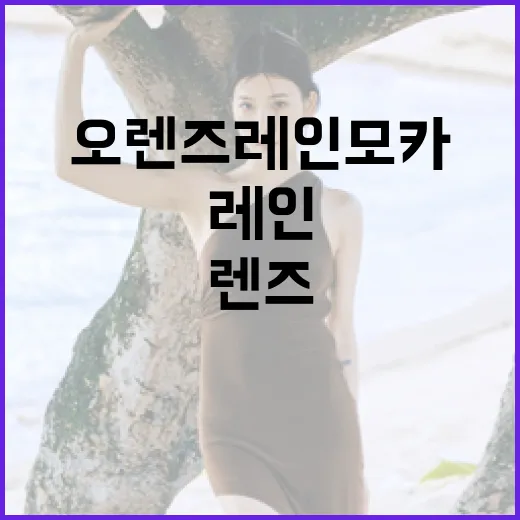 오렌즈 레인모카 렌즈 선택 방법 - 요약