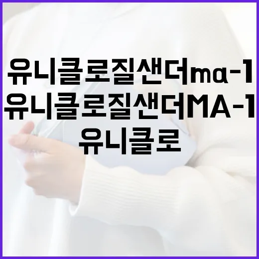 유니클로 질샌더 MA-1 스타일링하는 방법 - 요약