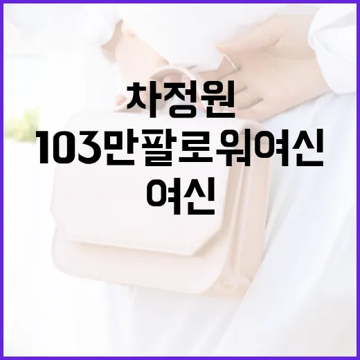 차정원처럼 103만 팔로워 여신이 되는 방법 - 요약