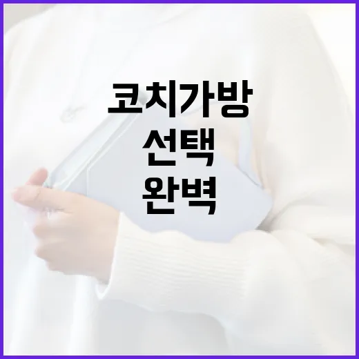 코치 가방을 완벽하게 선택하는 방법 - 요약