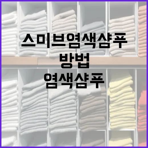 스미브 염색샴푸로 간편하게 염색하는 방법 - 요약