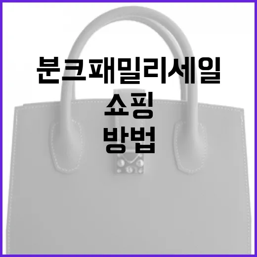 분크 패밀리세일에서 스마트하게 쇼핑하는 방법 - 요약