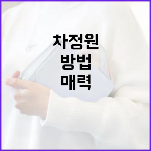 차정원의 매력을 알아보고 즐기는 방법 - 요약