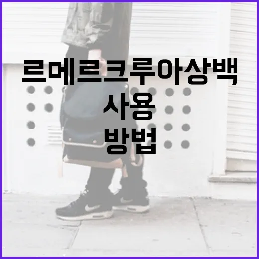 르메르 크루아상백을 스타일리시하게 사용하는 방법 - 요약