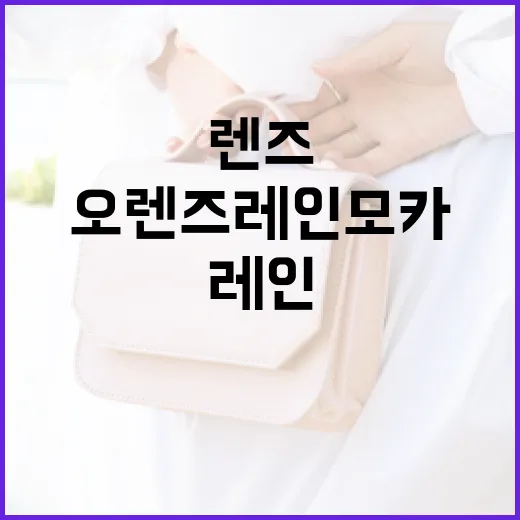 오렌즈 레인모카를 즐기는 방법 - 요약