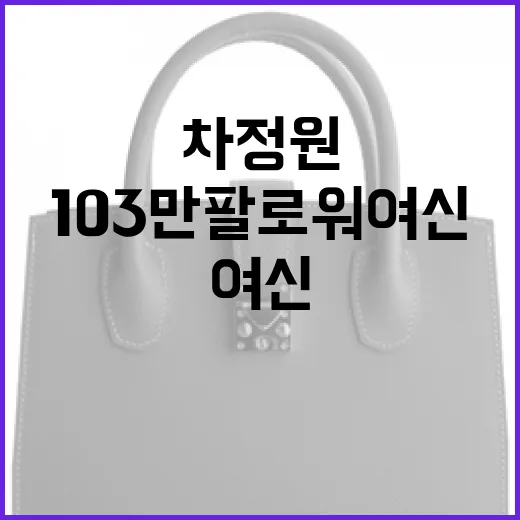 차정원처럼 103만 팔로워 여신이 되는 방법 - 요약