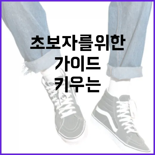 라엘이를 키우는 방법: 초보자를 위한 가이드 - 요약