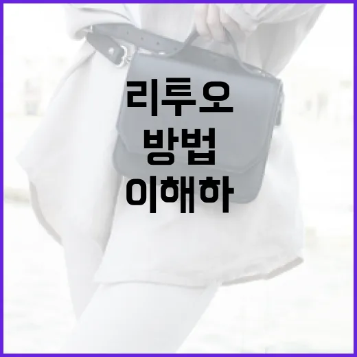 리투오를 이해하고 활용하는 방법 - 요약