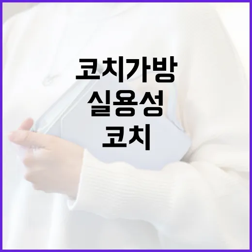 서인영의 음악 세계…