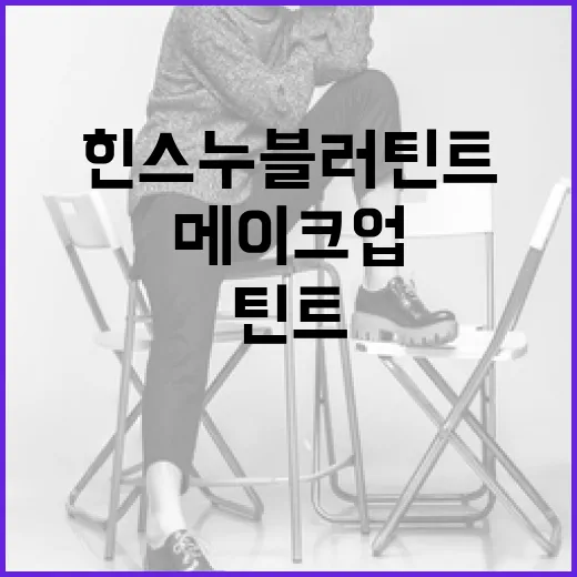 힌스 누블러틴트를 활용하여 자연스러운 메이크업 완성하는 방법 - 요약