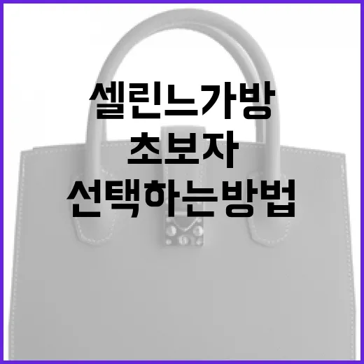 셀린느 가방을 선택하는 방법: 초보자를 위한 가이드 - 요약