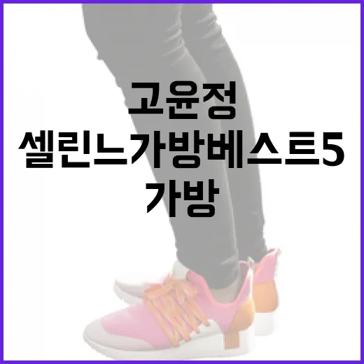 고윤정처럼 스타일리시하게: 셀린느 가방 베스트 5 선택하기 - 요약