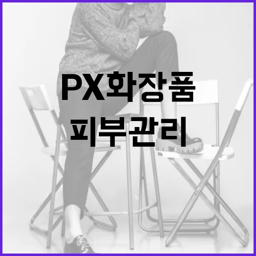 px 화장품으로 피부 관리하는 방법 - 요약