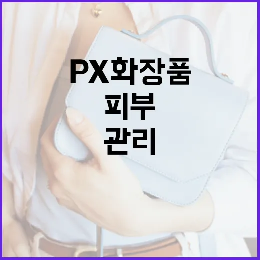 PX 화장품으로 피부를 관리하는 방법 - 요약