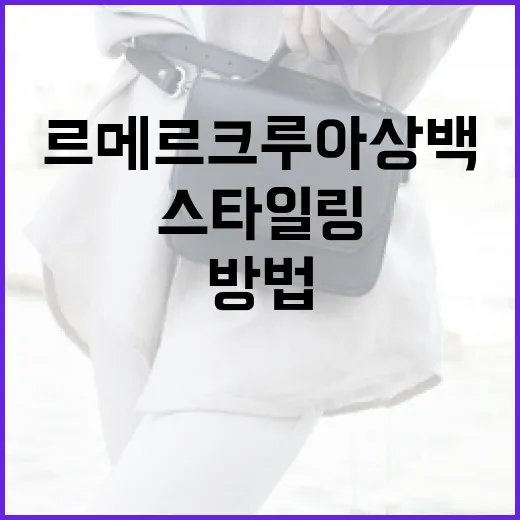 르메르 크루아상백을 스타일링하는 방법 - 요약