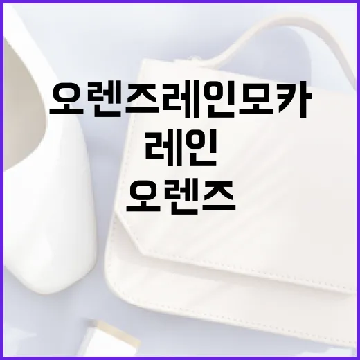 오렌즈 레인모카를 선택하는 방법과 활용 팁 - 요약