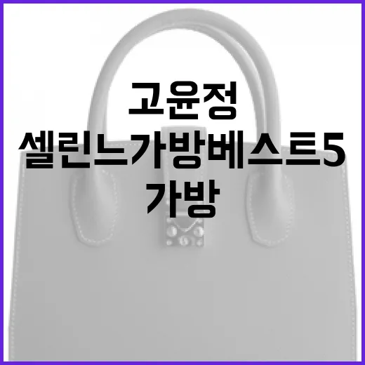 고윤정 스타일로 셀린느 가방 베스트 5 선택하는 방법 - 요약
