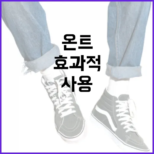 온트를 효과적으로 사용하는 방법 - 요약