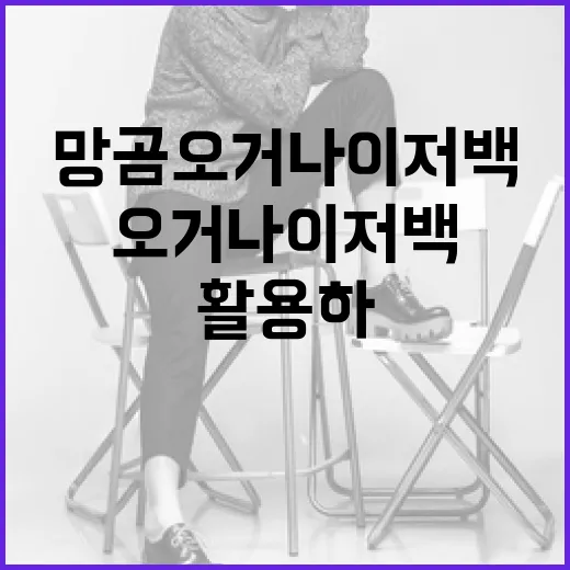 망곰 오거나이저백을 활용하는 방법 - 요약