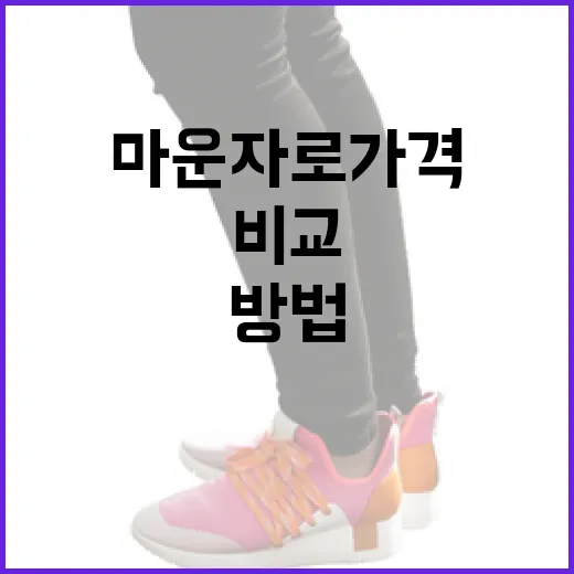 마운자로 가격을 현명하게 비교하는 방법 - 요약