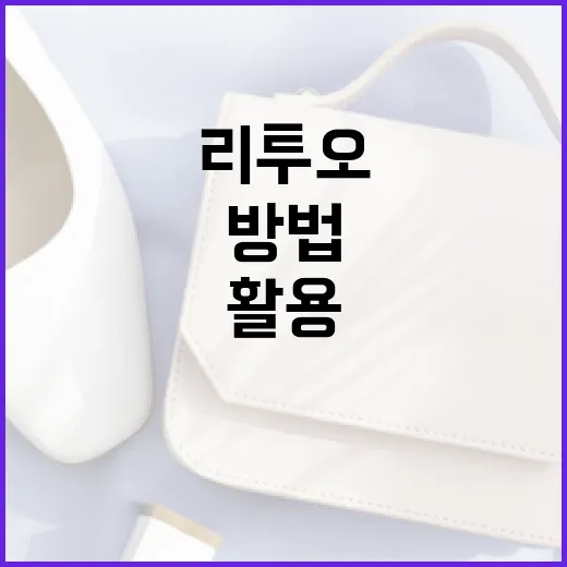 리투오를 활용하는 방법: 일상 생활에서 에너지를 절약하기 - 요약