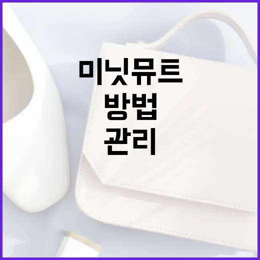 미닛뮤트로 시간을 효율적으로 관리하는 방법 - 요약