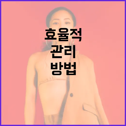 미닛뮤트를 활용하여 시간을 효율적으로 관리하는 방법 - 요약