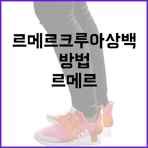 르메르 크루아상백을 제대로 활용하는 방법 - 요약