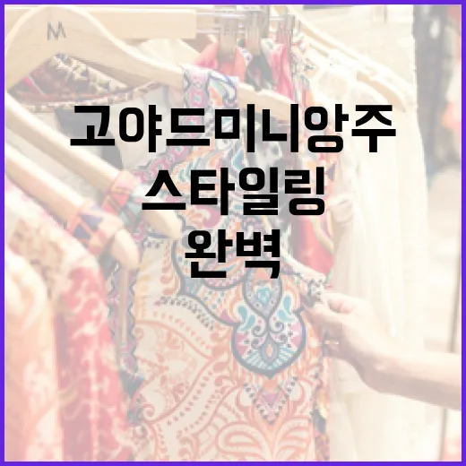 고야드 미니앙주를 완벽하게 스타일링하는 방법 - 요약