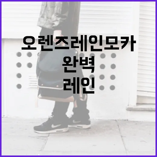 오렌즈 레인모카를 완벽하게 즐기는 방법 - 요약