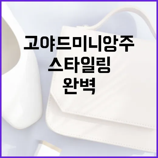고야드 미니앙주를 완벽하게 스타일링하는 방법 - 요약